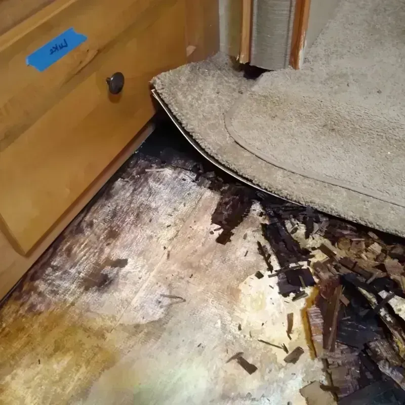 Wood Floor Water Damage in Monroe County, GA